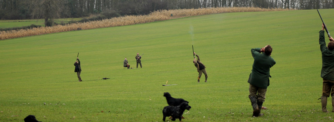 the blaston shoot header