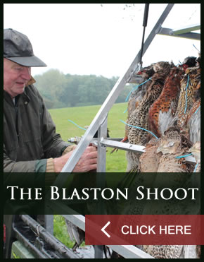 the blaston shoot 6