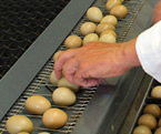 Welland Valley Game - Egg Sales